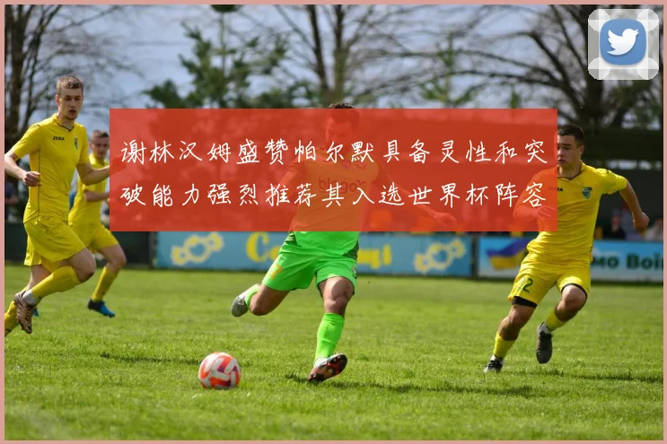 谢林汉姆盛赞帕尔默具备灵性和突破能力强烈推荐其入选世界杯阵容