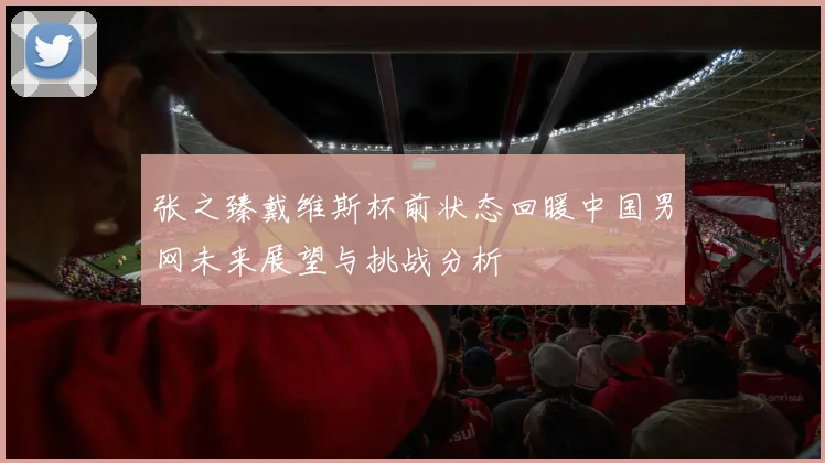 张之臻戴维斯杯前状态回暖中国男网未来展望与挑战分析