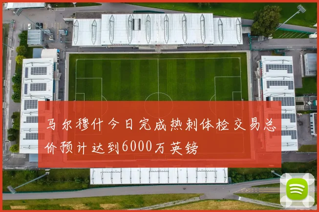 马尔穆什今日完成热刺体检交易总价预计达到6000万英镑
