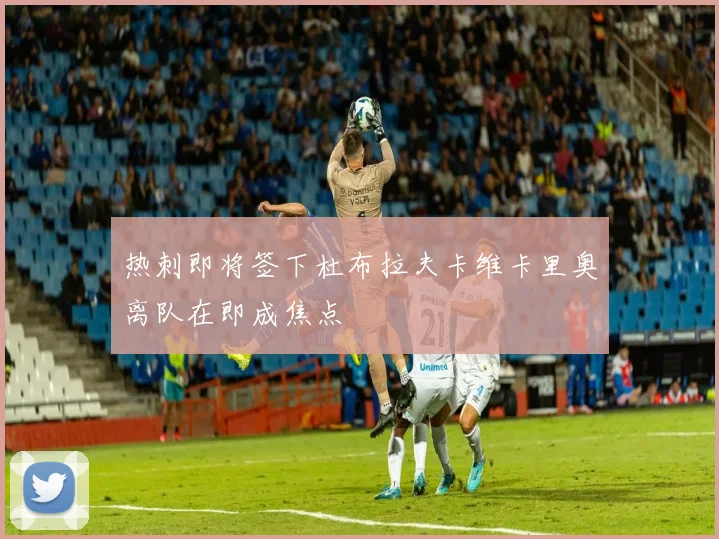 热刺即将签下杜布拉夫卡维卡里奥离队在即成焦点
